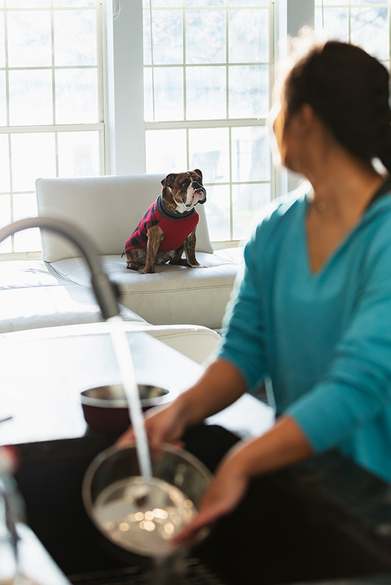 dog owner cleaning her dog's bowl